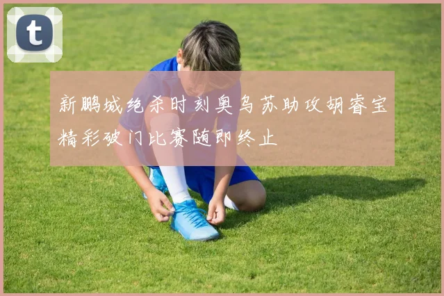 新鹏城绝杀时刻奥乌苏助攻胡睿宝精彩破门比赛随即终止